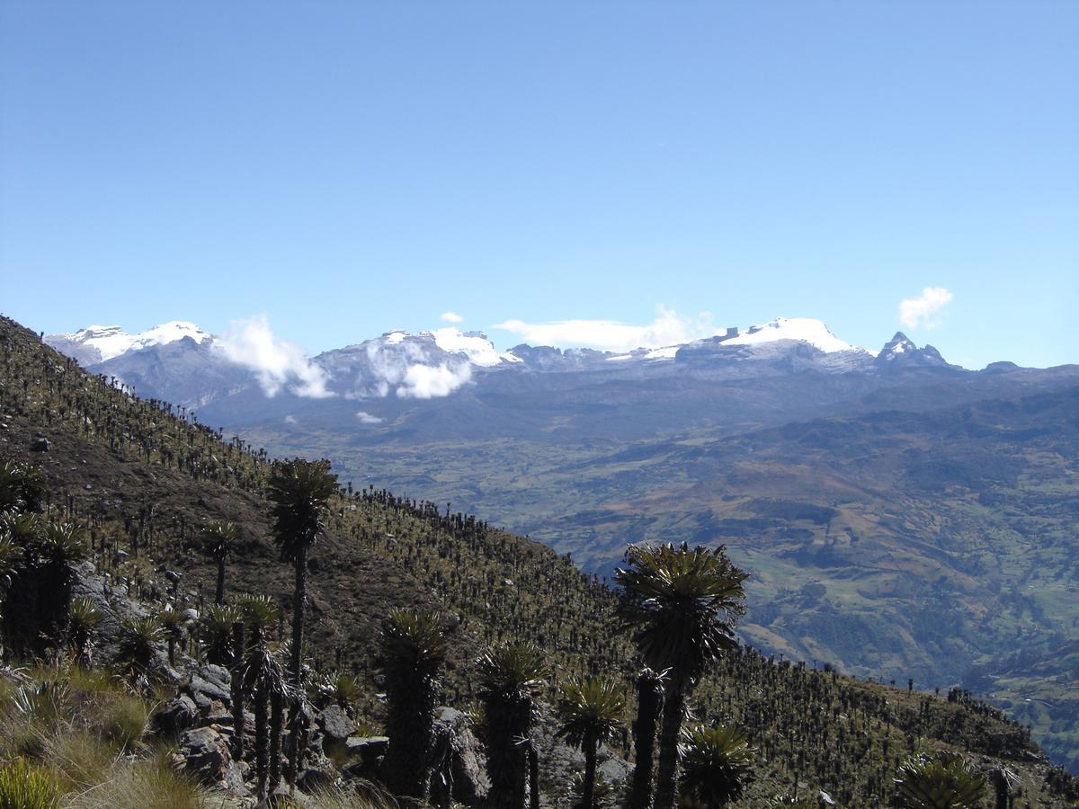Hotel San Gabriel El Cocuy Exteriör bild